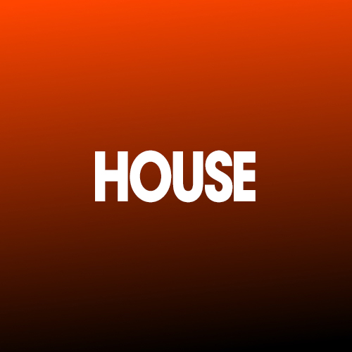 DJ ON CUE - HOUSE RAVES 002